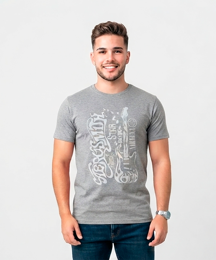 Camiseta hombre gris Aerosmith Rock Star